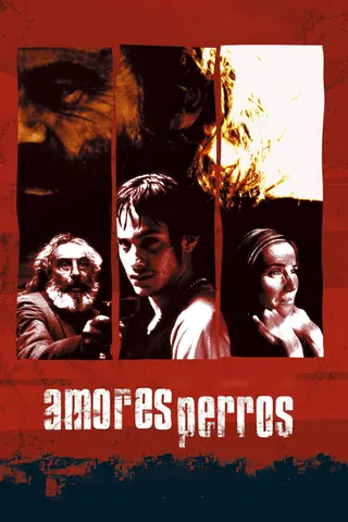 Amores Perros