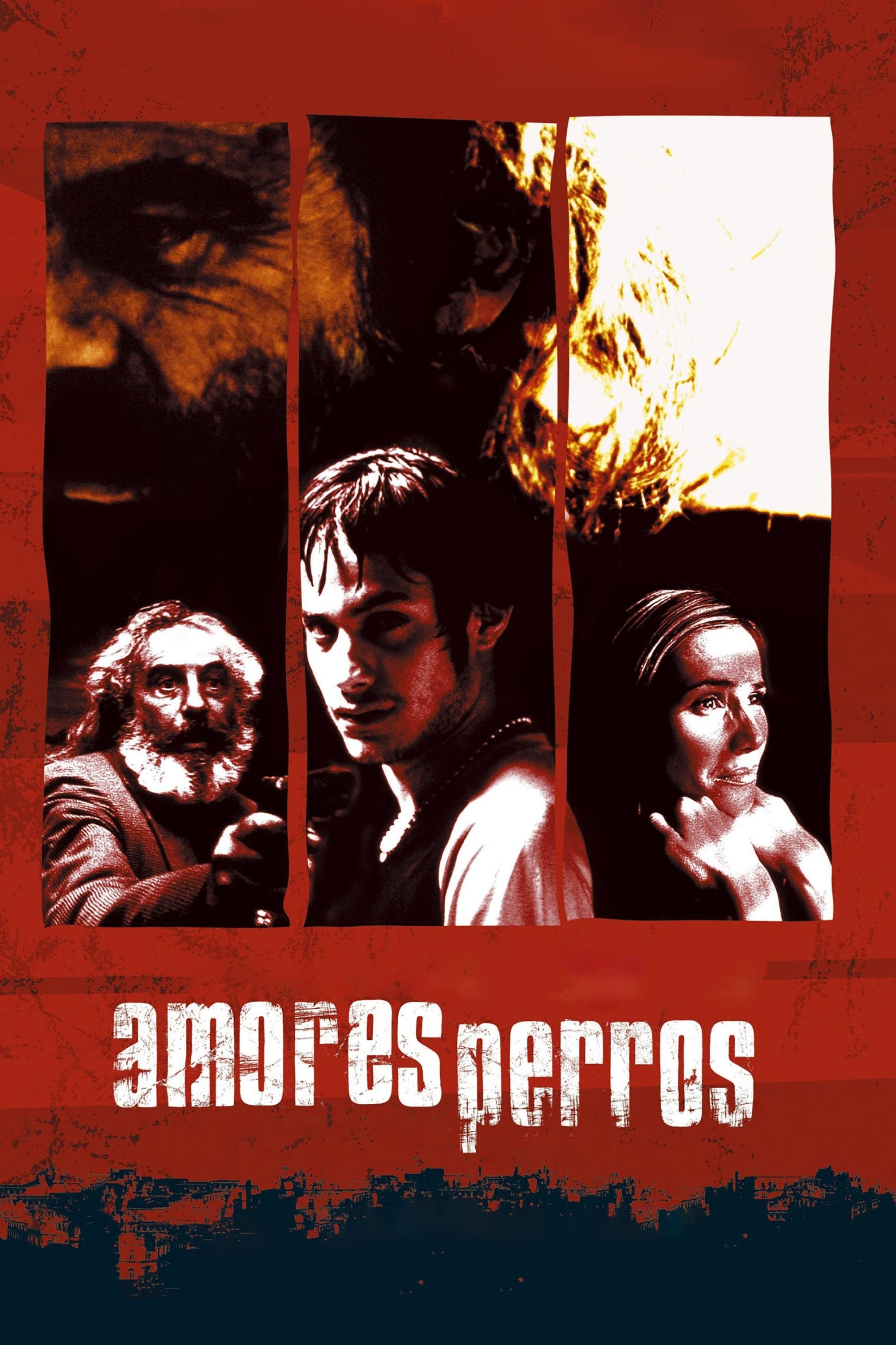 Amores Perros