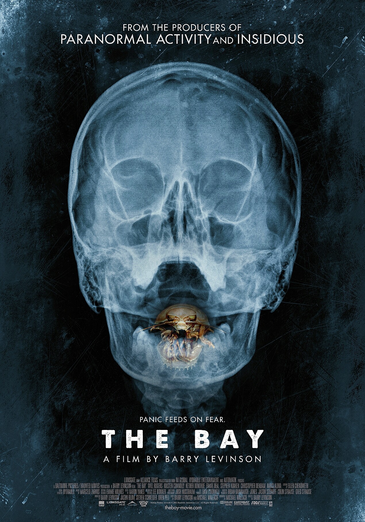 The Bay