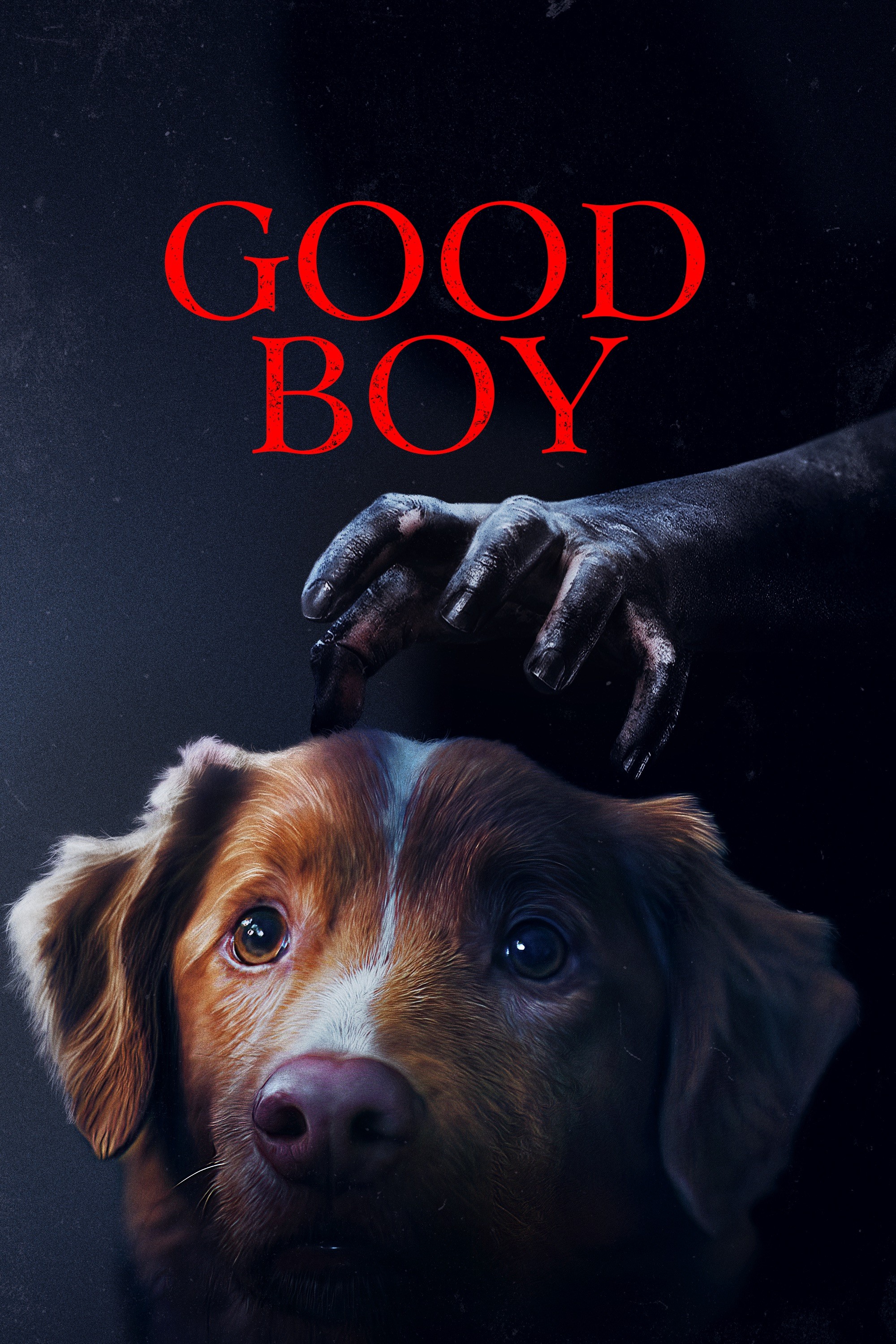 Good Boy